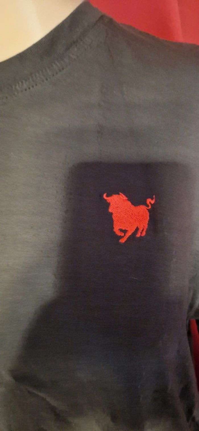 T-shirt homme taille L taureau brodé - photo numéro 2