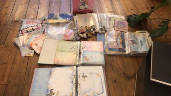 Collection complète diddl