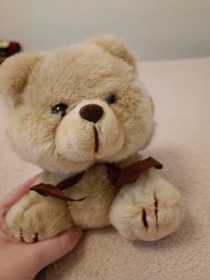 Ours en peluche - photo numéro 2