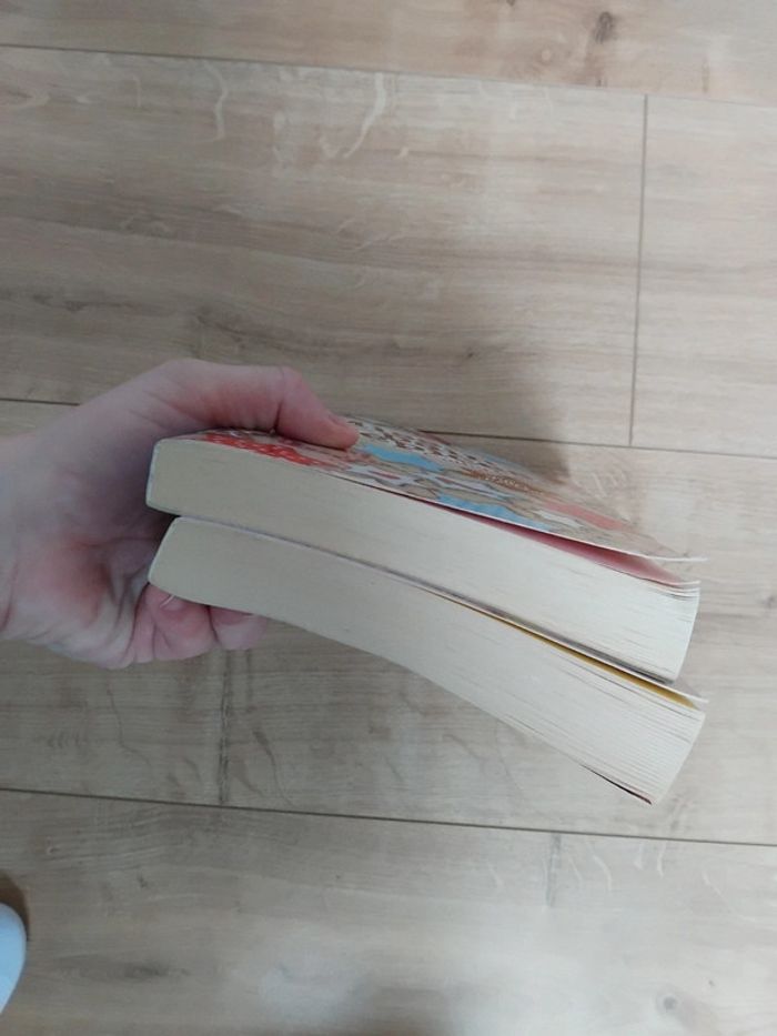 Livres Miss Pain d'épices et Rose givrée - photo numéro 7