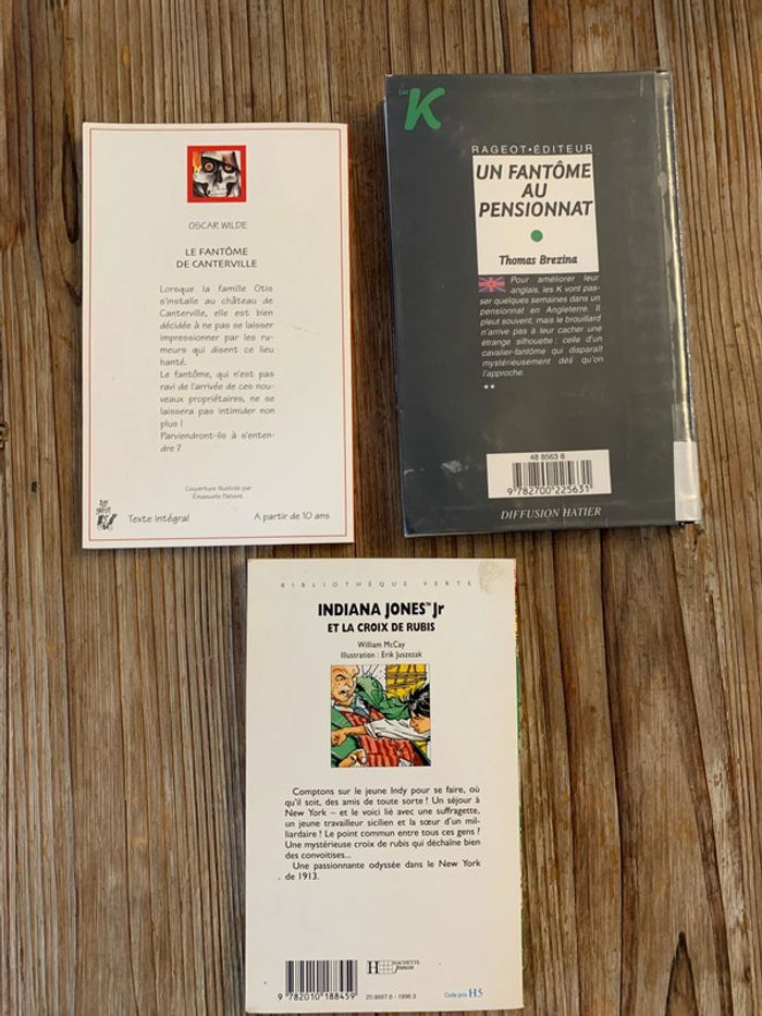 Lot 3 livres enfant 10 ans - photo numéro 5