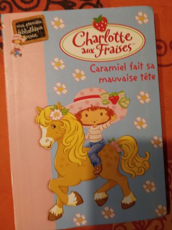 Charlotte aux fraises - caramiel fait sa mauvaise tete