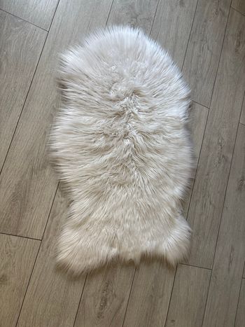 Tapis Primark home 