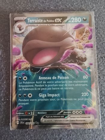 Carte de Pokémon français 