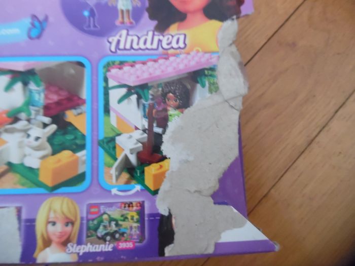 lego friends - photo numéro 4