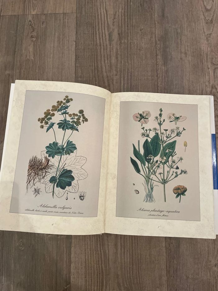 Livre l’herbier des plantes médicinales - photo numéro 5