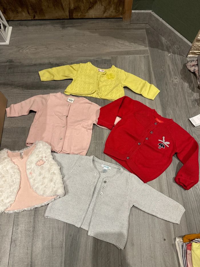 Lot de gilets - photo numéro 2