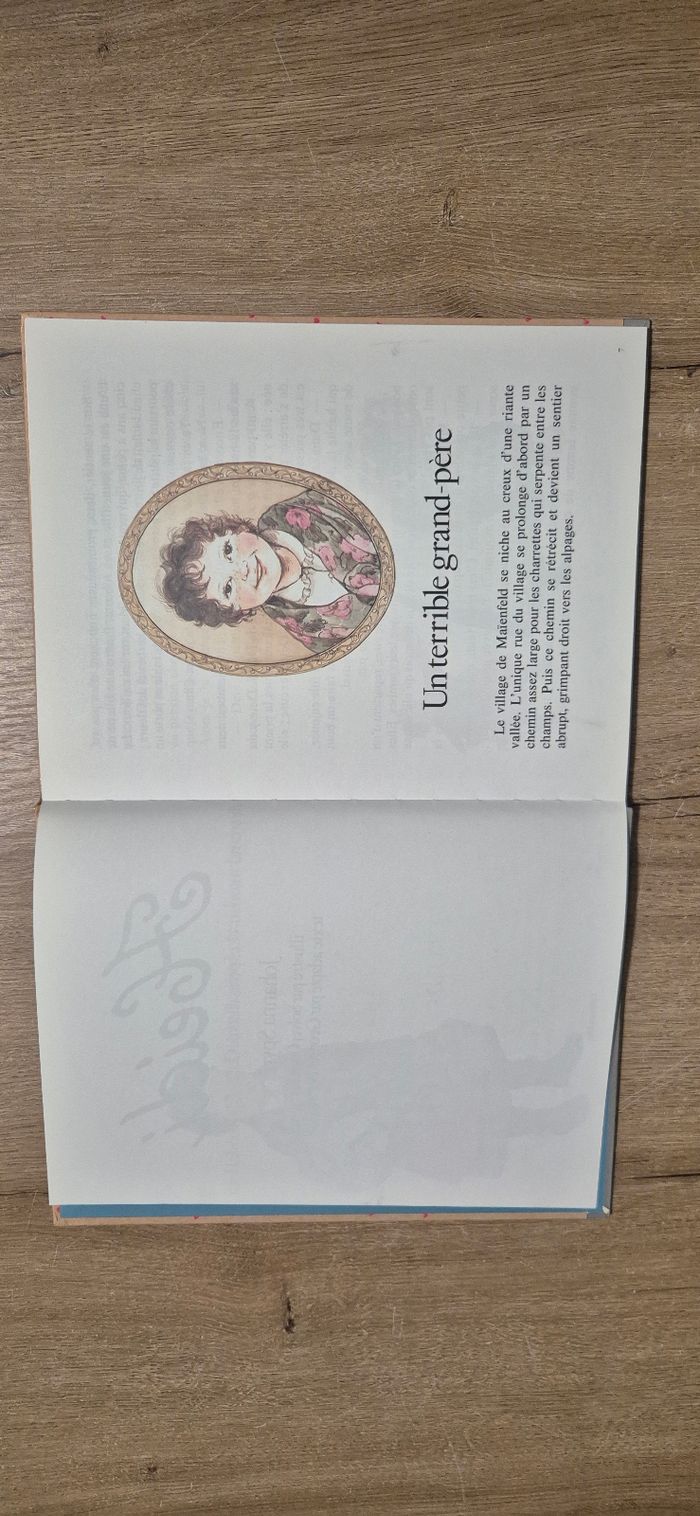 Livre Heidi - photo numéro 2