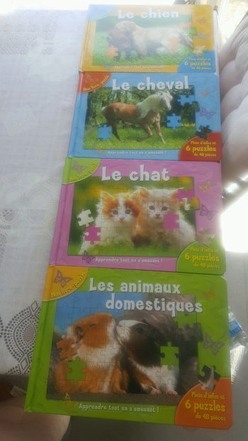 Lot de 4 livres puzzle soit 24 puzzle de 48 pieces