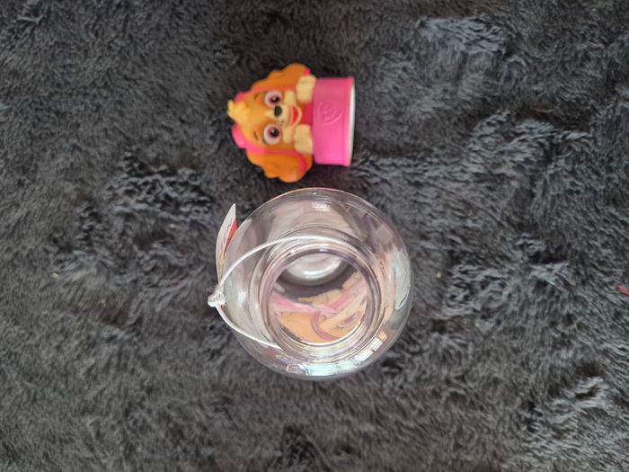 gourde pat patrouille - photo numéro 2