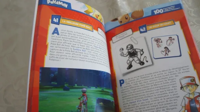livre Pokémon 100 trucs insolites pour être le meilleur dresseur - photo numéro 2