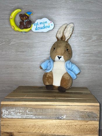 LAI05 doudou lapin 🐰 picot