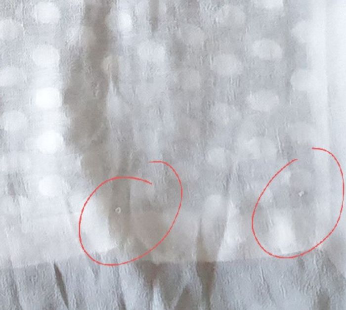 Lot de 2 t-shirts 2en1 IKKS - photo numéro 10