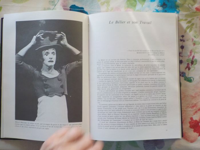 LE GRAND LIVRE DU BELIER par A. WALDSTEIN Ed. Tchou - photo numéro 6