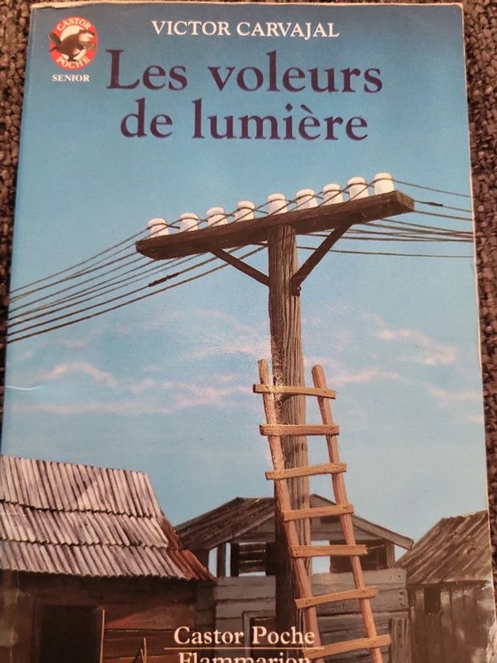 Les voleurs de lumiere