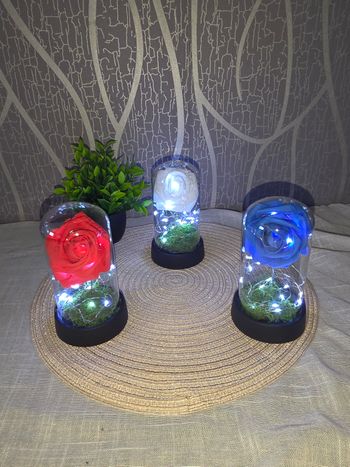 Rose eternelle led