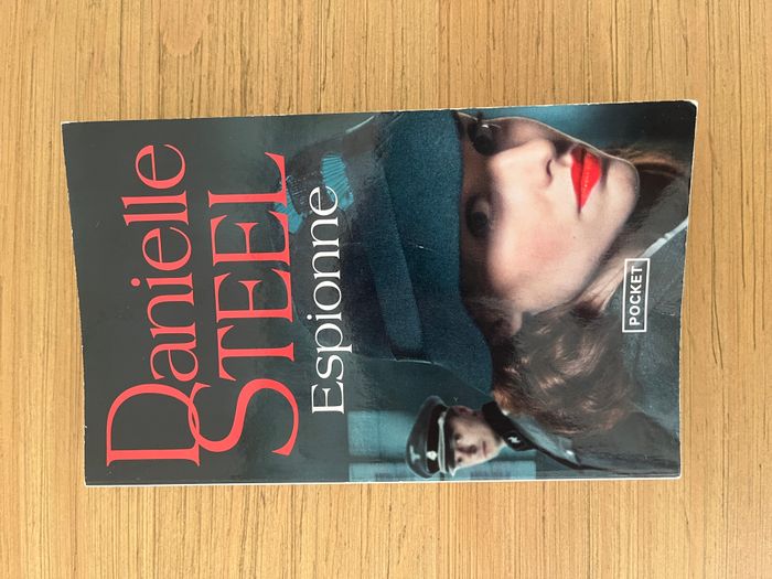 Lot 2 livres Danielle Steel - photo numéro 2