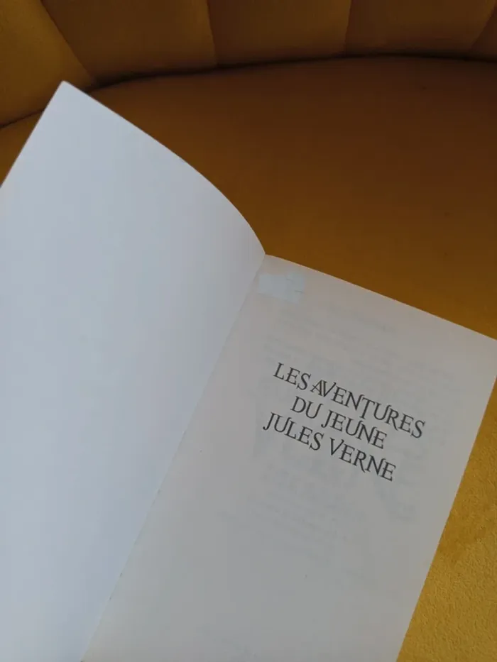 Les aventures du jeune Jules Verne L'île perdue - photo numéro 8