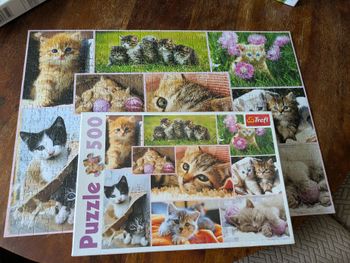 Magnifique puzzle Chatons Trèfl 500 pièces
