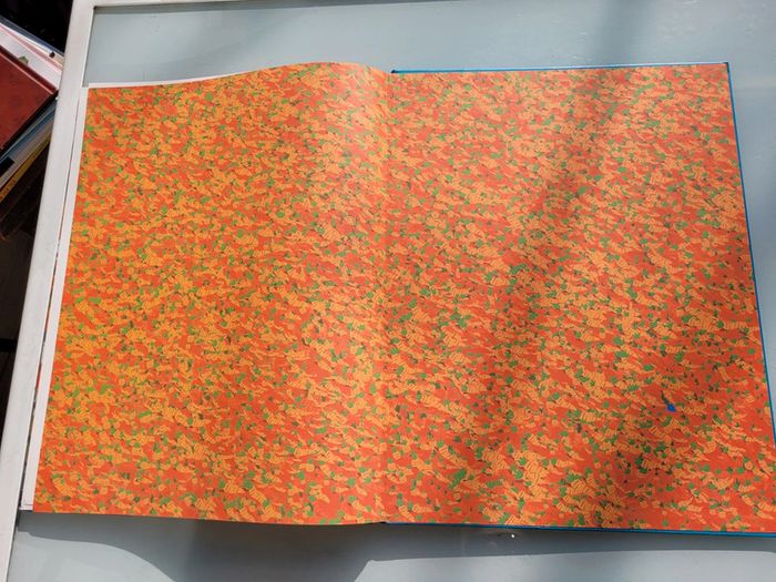 Très grand livre À la recherche de la carotte bleue 🥕 Les métiers, little urban (63) - photo numéro 13