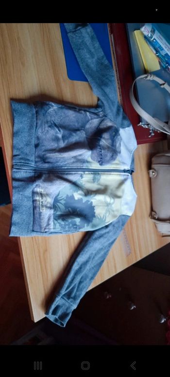 Veste a capuche jurassic world