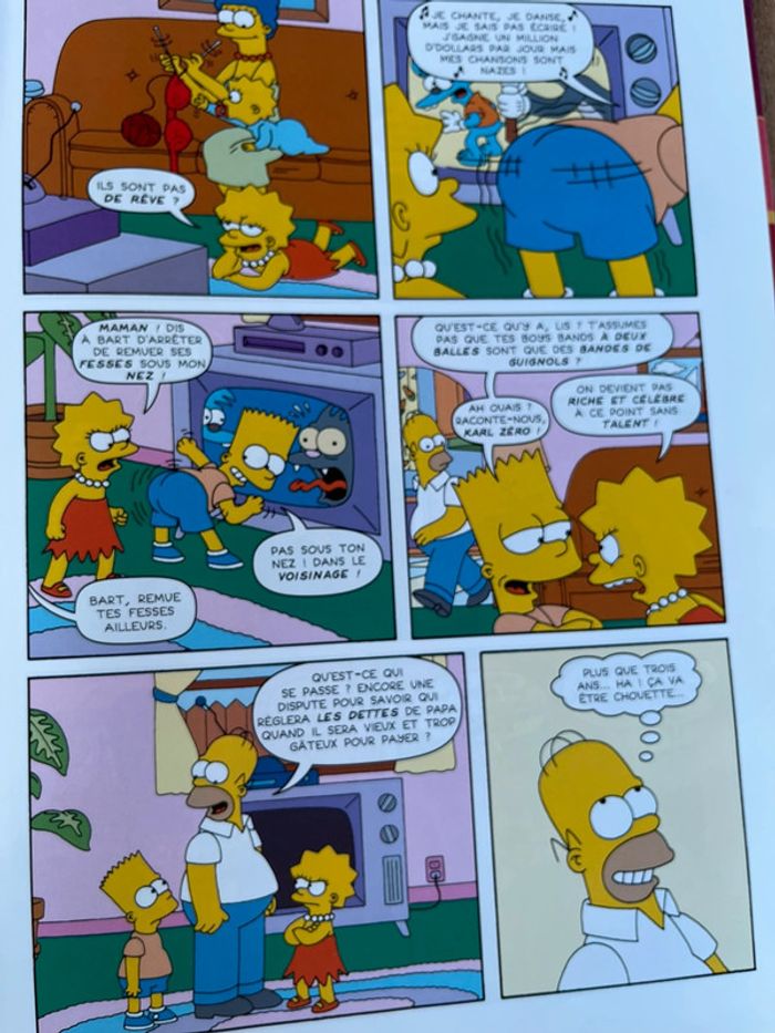 livre Les Simpson - photo numéro 4