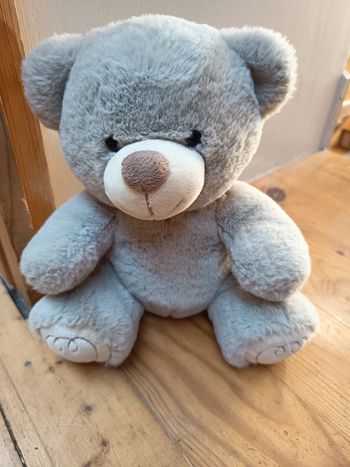 Ours gris peluche gipsy