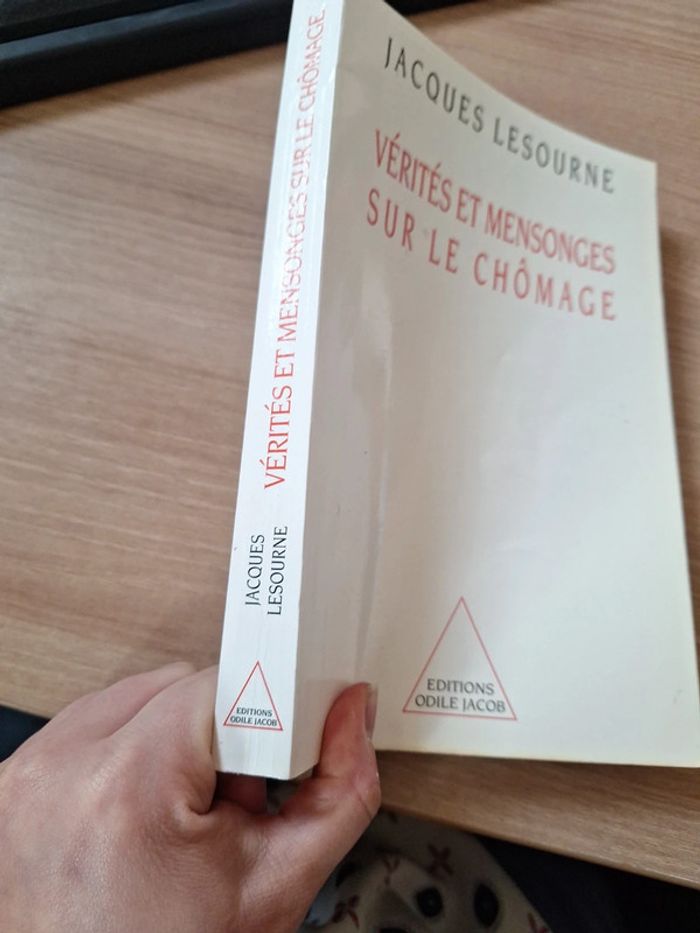 Vérités et mensonge sur le chômage - photo numéro 2