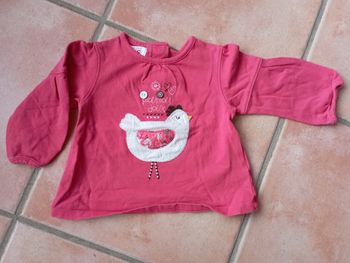 T shirt poule