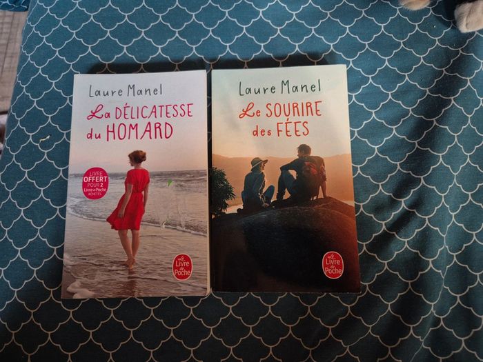 Lot de 2 livres de Laure Manel