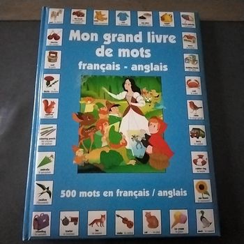 Mon grand livre de mots français-anglais