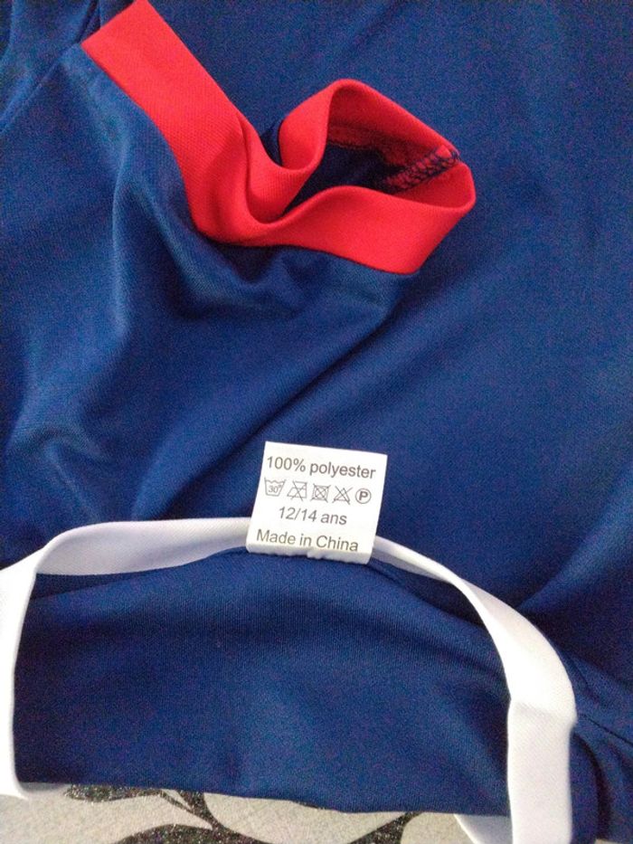 Maillot Équipe de France Carrefour 12/14 ans - photo numéro 3