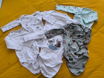 Bodies 6 mois