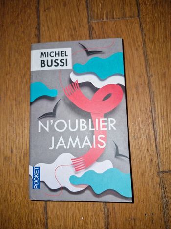 Michel Bussi / N'oublie jamais