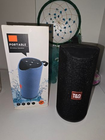 Enceinte Bluetooth Portable T&G TG113