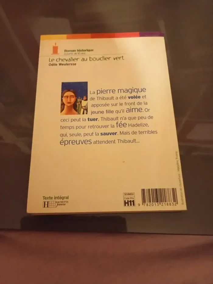 Le Chevalier au bouclier vert - photo numéro 2