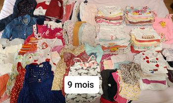 Gros lot vêtements taille 9 mois fille 

