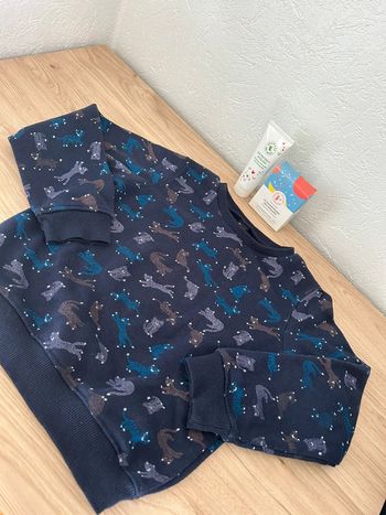🎉 Pull pour enfant Punkidz avec motifs animaux 🎉
