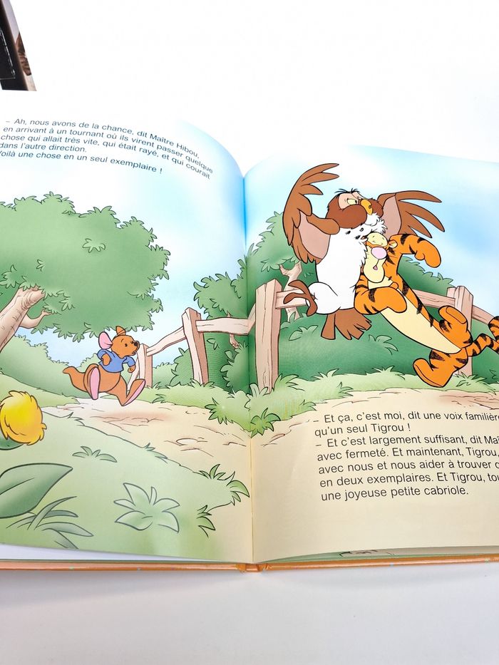 Livre Disney Winnie l'ourson 100, ça ressemble à quoi ? - photo numéro 5