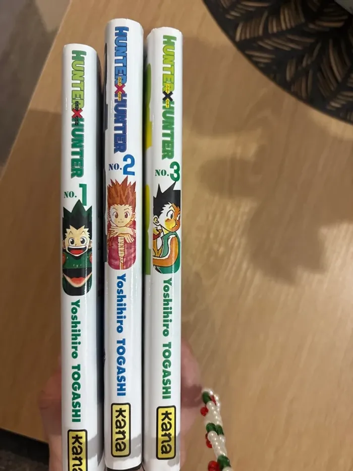 Hunter X Hunter - photo numéro 2