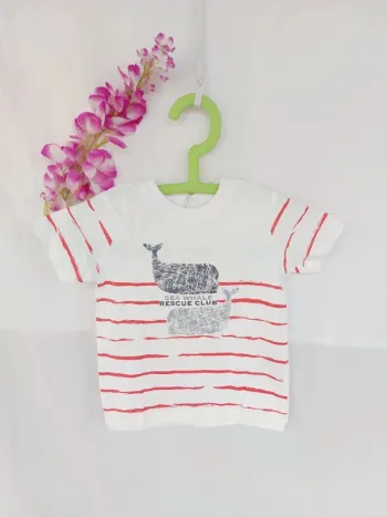 Tee-shirts neuf 6 mois Vertbaudet