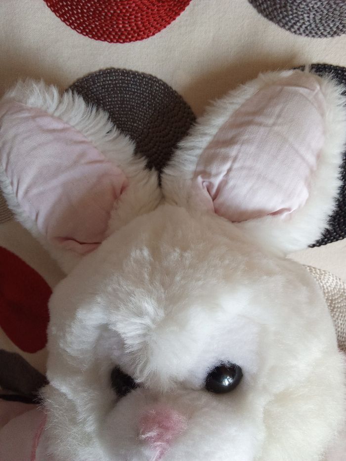 Peluche doudou lapin rose et blanc vintage ancien  bicolore rayure rayé en posture debout col dentelle blanc yeux durs en plastique pupille noir contour transparent  gris  foncé  tâches roses en photos  sinon très propre  modèle pas récent les jouets qui  - photo numéro 9
