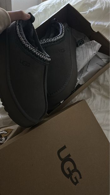 Ugg Tasman