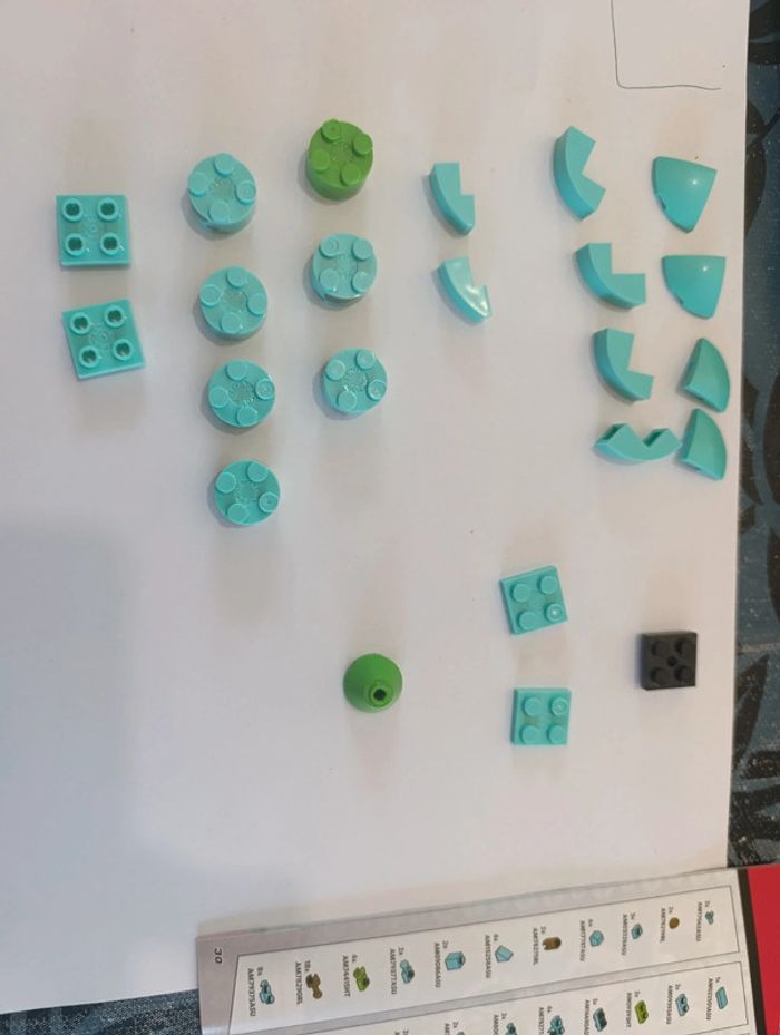 Méga construx pokémon Bulbizarre - photo numéro 7