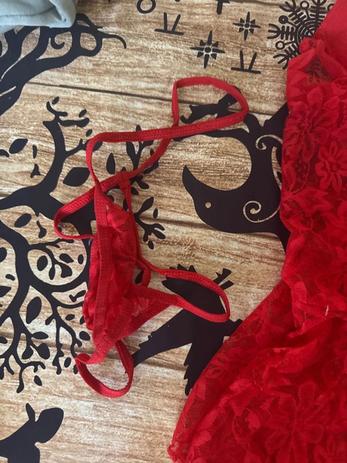 Nuisette spéciale Noël - photo numéro 2