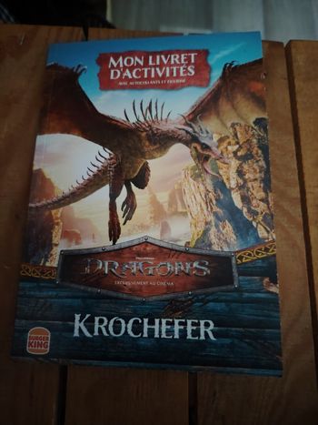 Mon livre d'activité