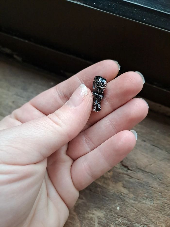 Accessoire - photo numéro 2