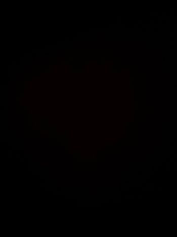 VENDU NE VEUX PAS SE SUPPRIMER