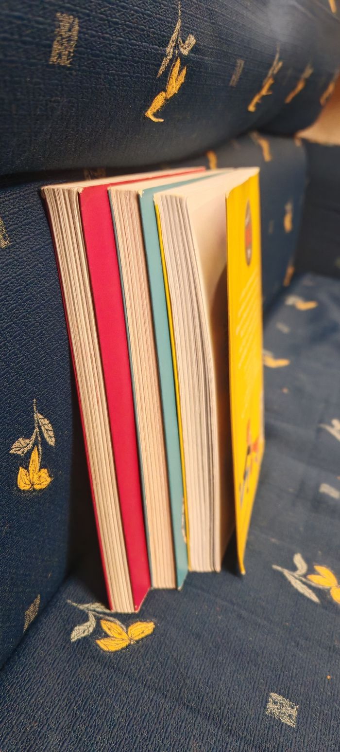 Motelle adèle - photo numéro 9