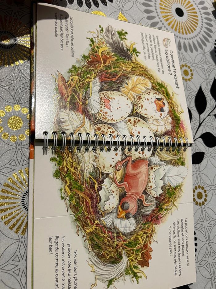 Les p’tits juniors les oiseaux - photo numéro 3